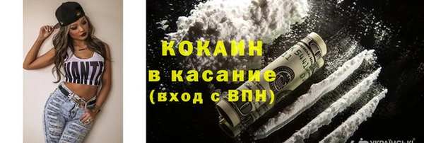 дживик Богородск