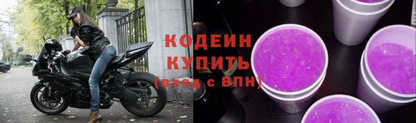 дживик Богородск