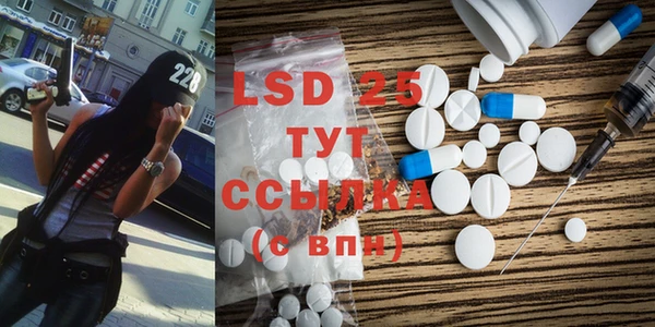 гидра Богданович