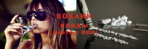 гидра Богданович