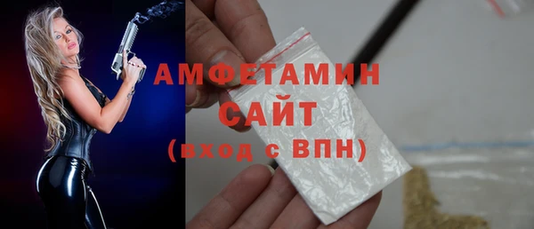 гидра Богданович
