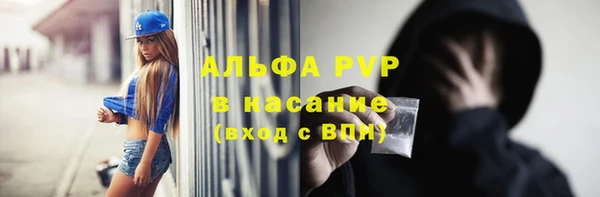 дживик Богородск