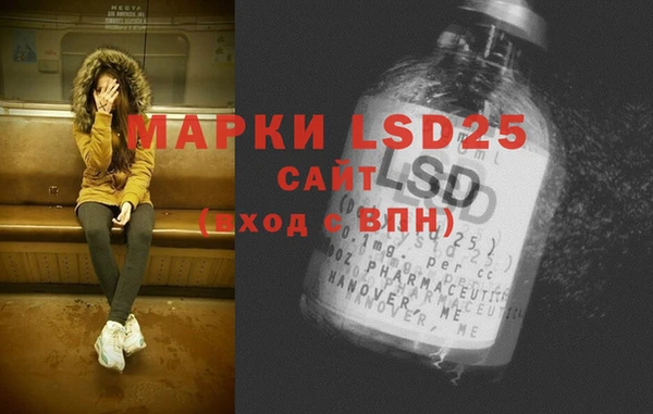 гидра Богданович