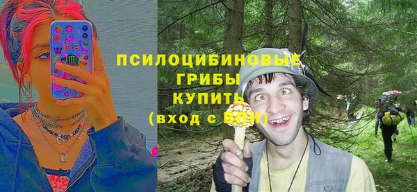 дживик Богородск