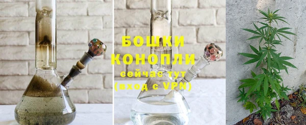 дживик Богородск