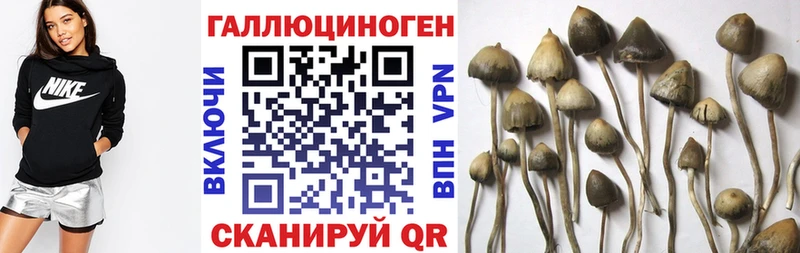 Галлюциногенные грибы прущие грибы  Купить закладки  Руза 